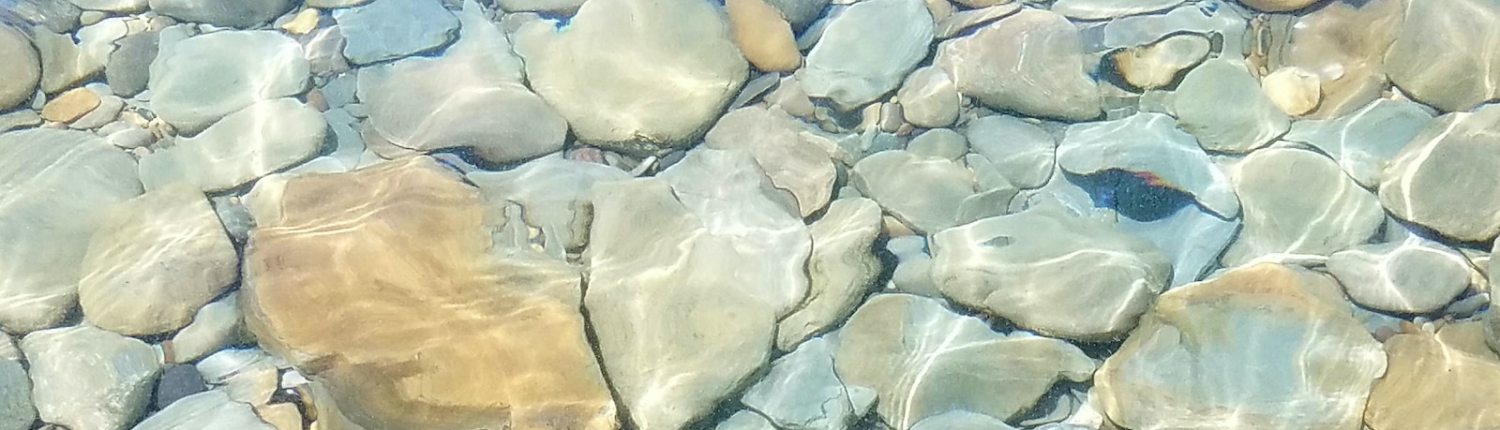 gray and brown rocks